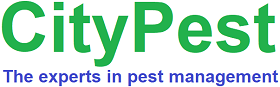 CityPest